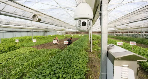 農業園區安防 農業園區安防